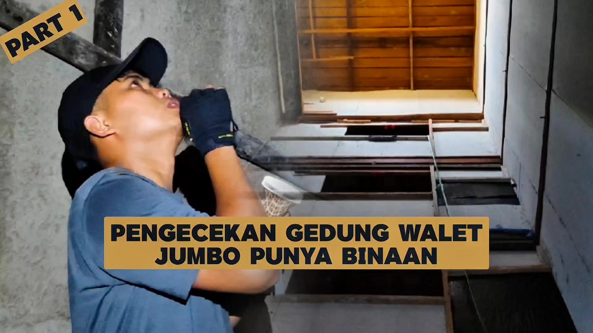 @Walet Rimba Kalimantan