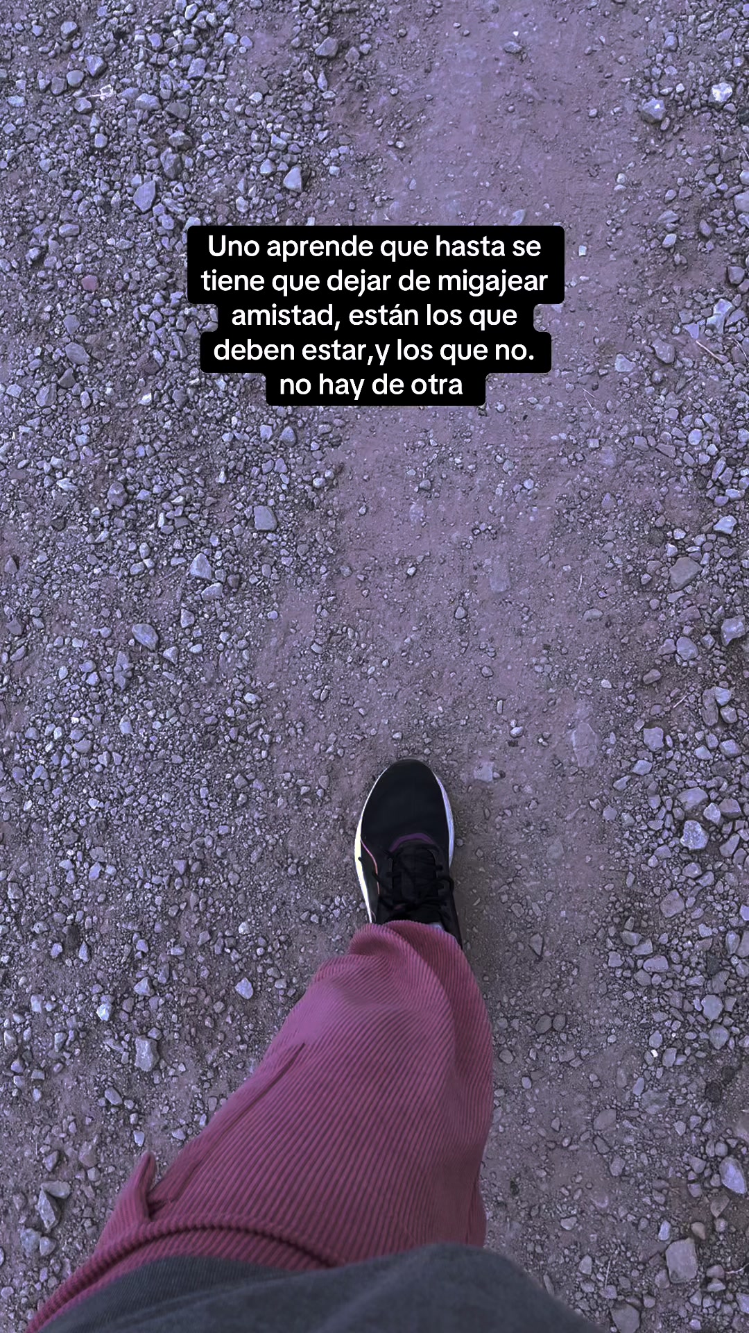 @M I C H E L L 🧸 💗