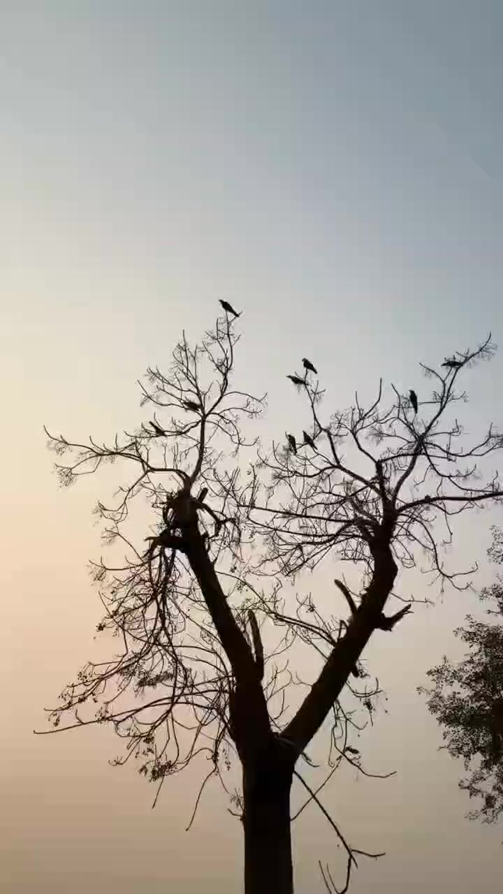 @KP_Police18