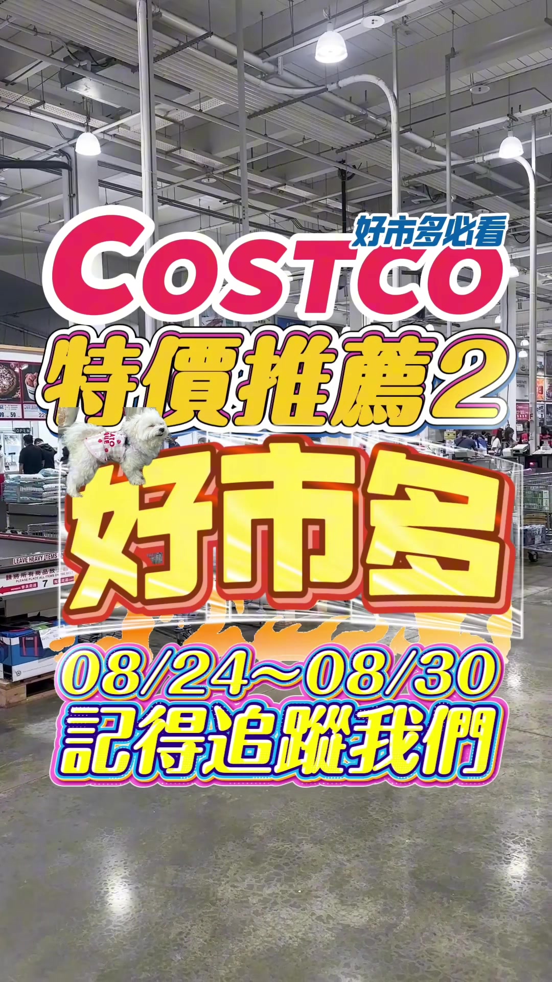 @Youtube搜尋🔍可可酒精