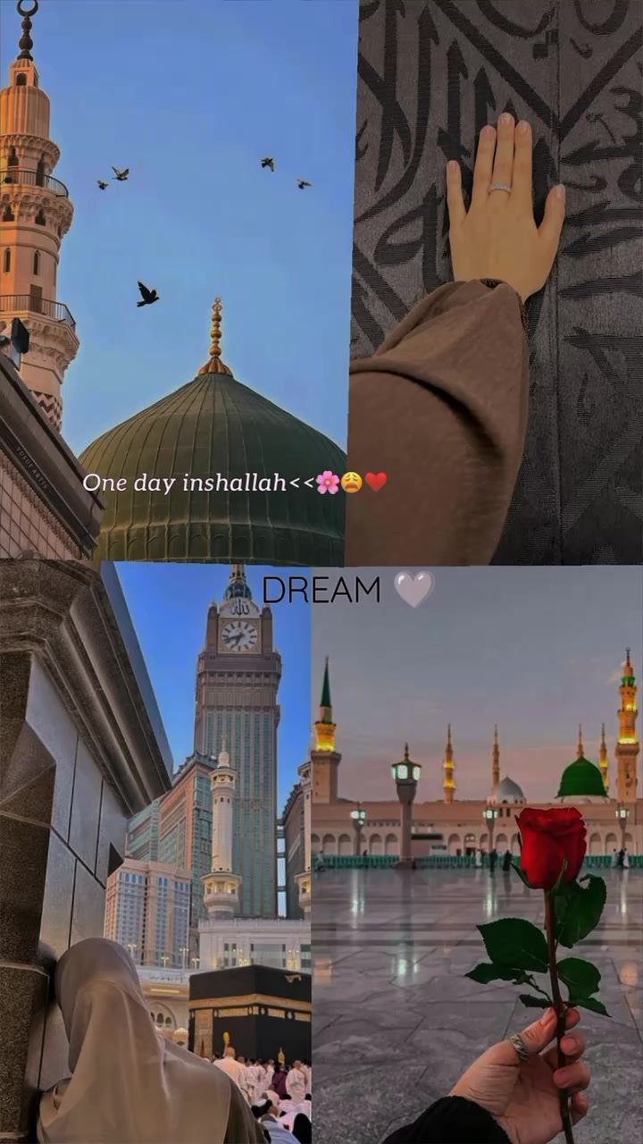 @𝙼𝚎𝚘𝚠 𝙻𝚒𝙻𝚒