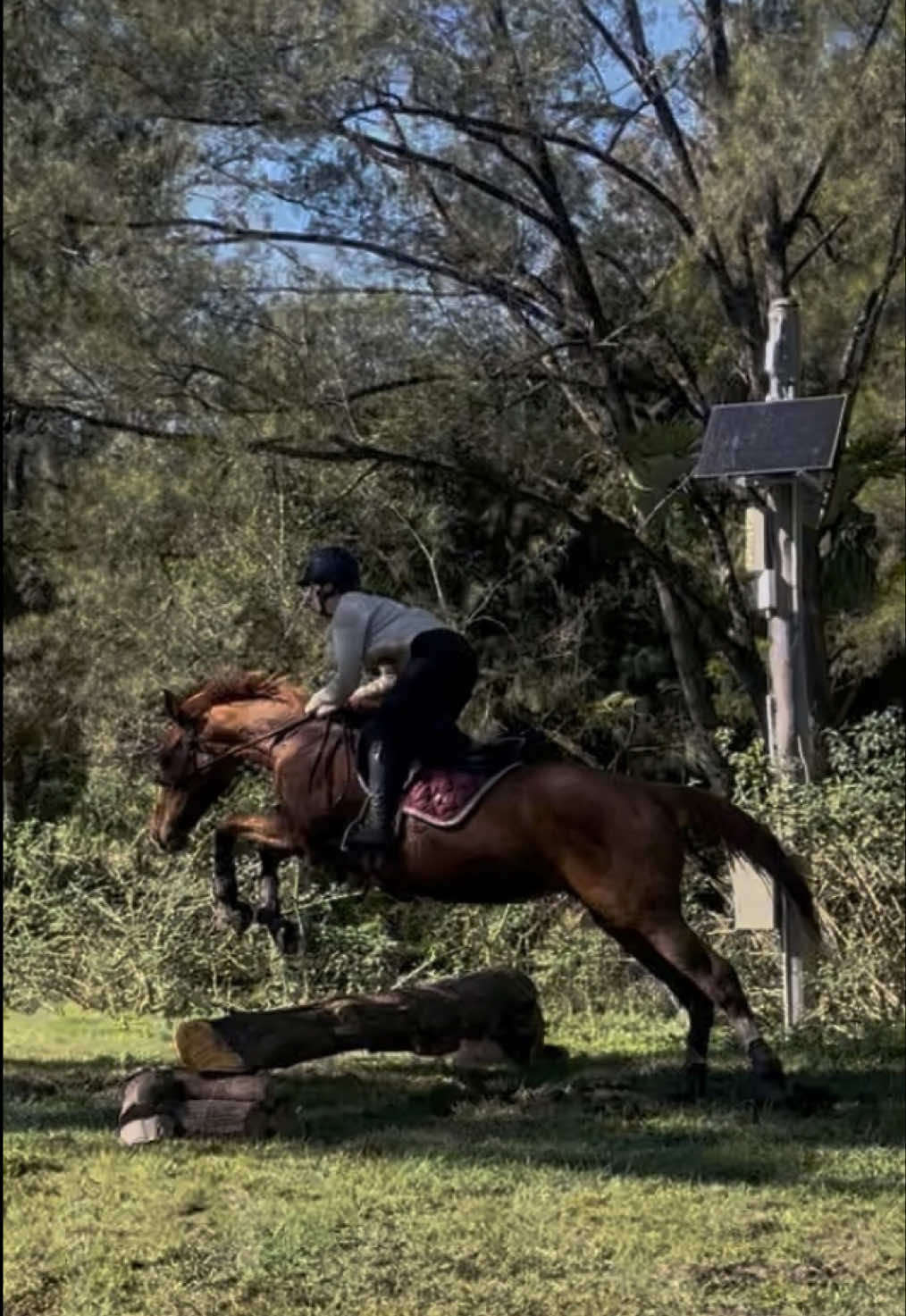 @Double F Performance Horses