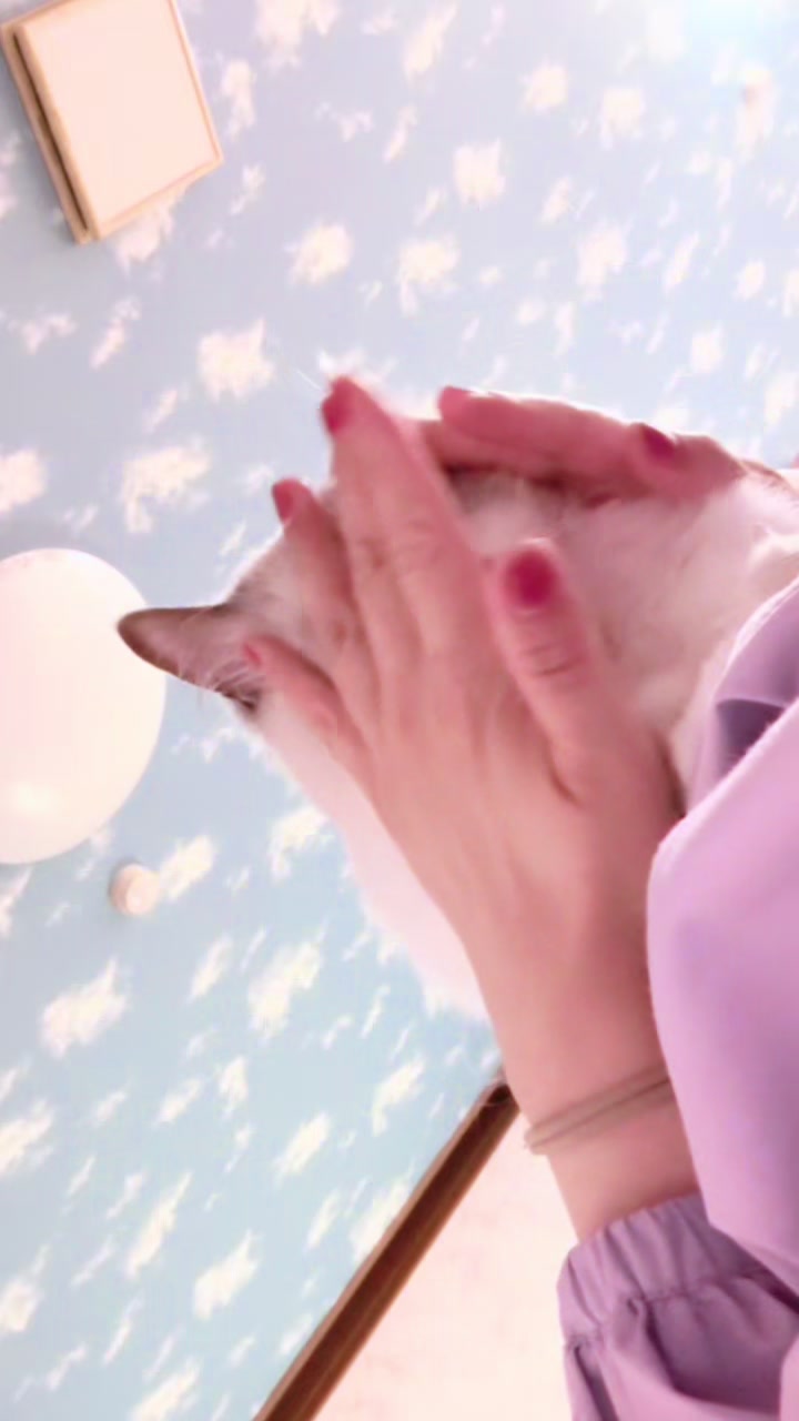 @neko🐾nyanko