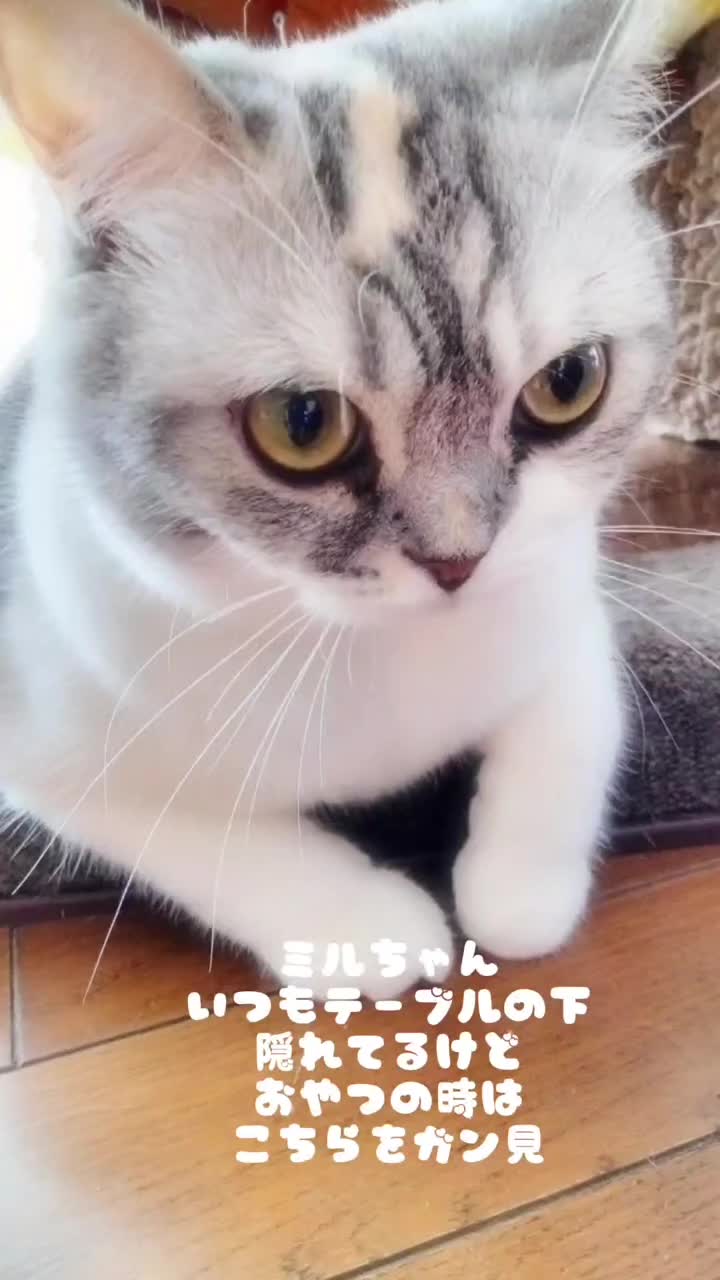 @くるくる8