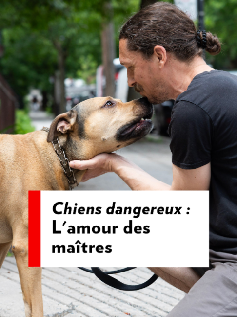 @La Presse