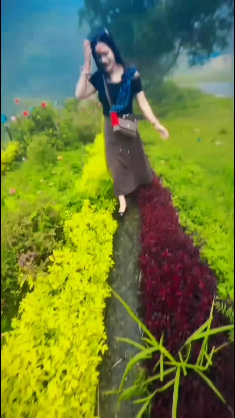 @sumitrachaudhary530