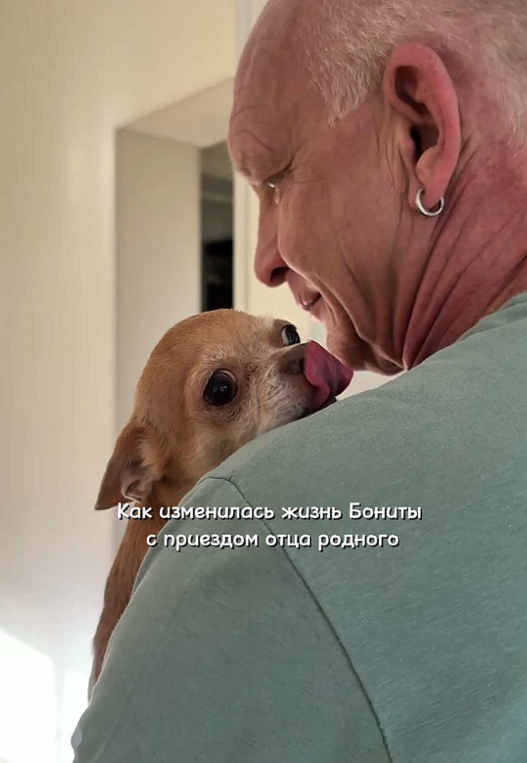 @Оксана & Чихуахуа Бонита