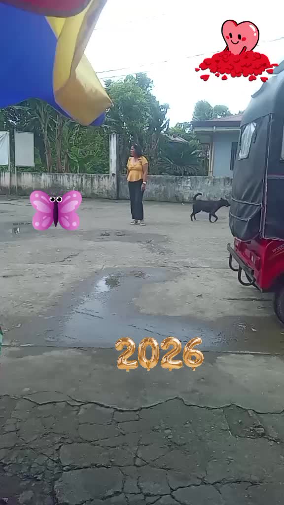@Luzkiebelle