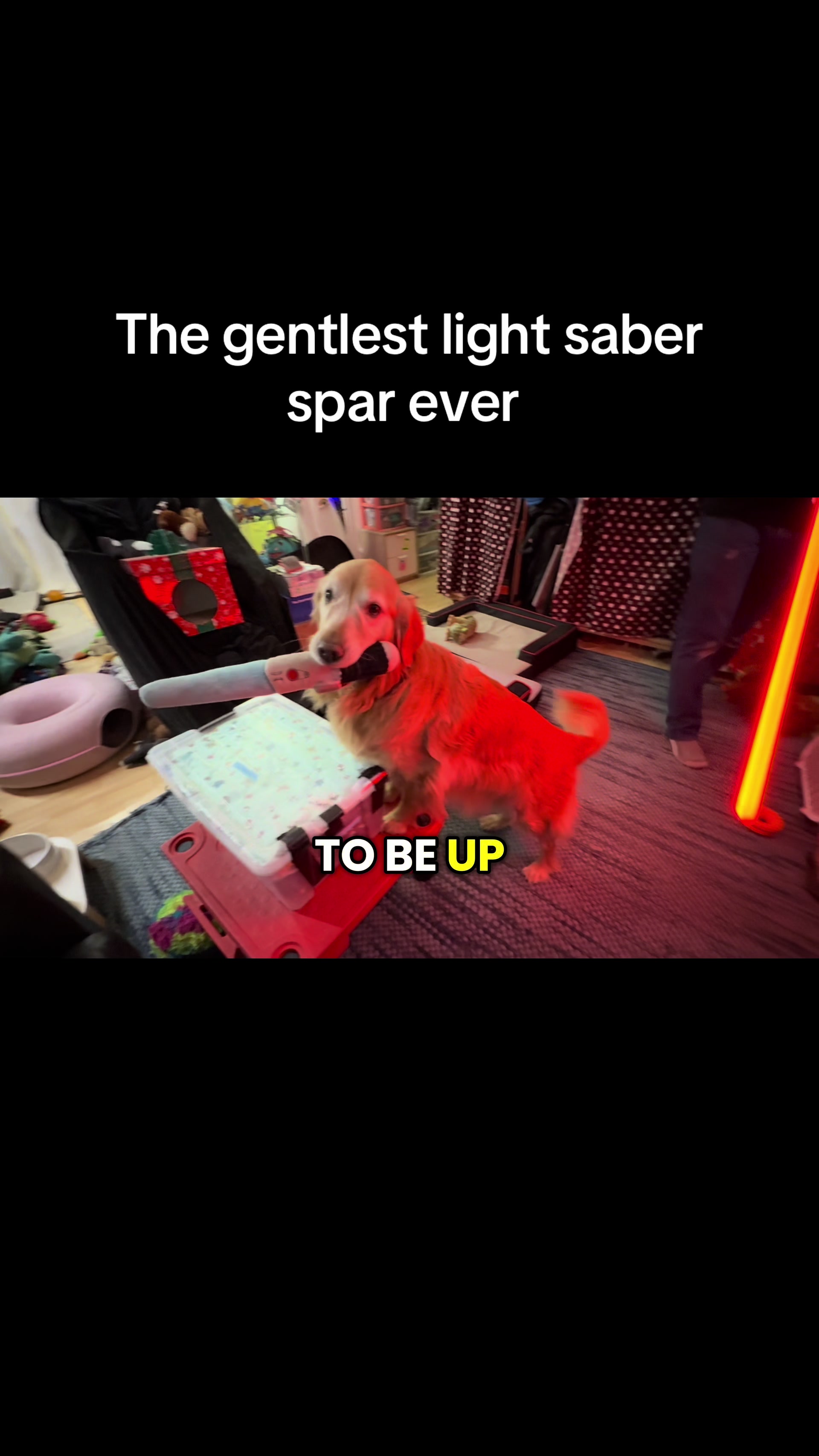 @FlexiblePetSolutions