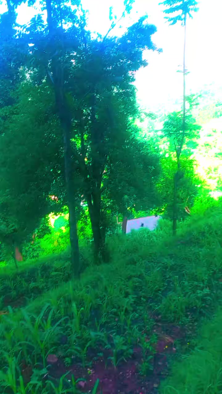 @riazmagray