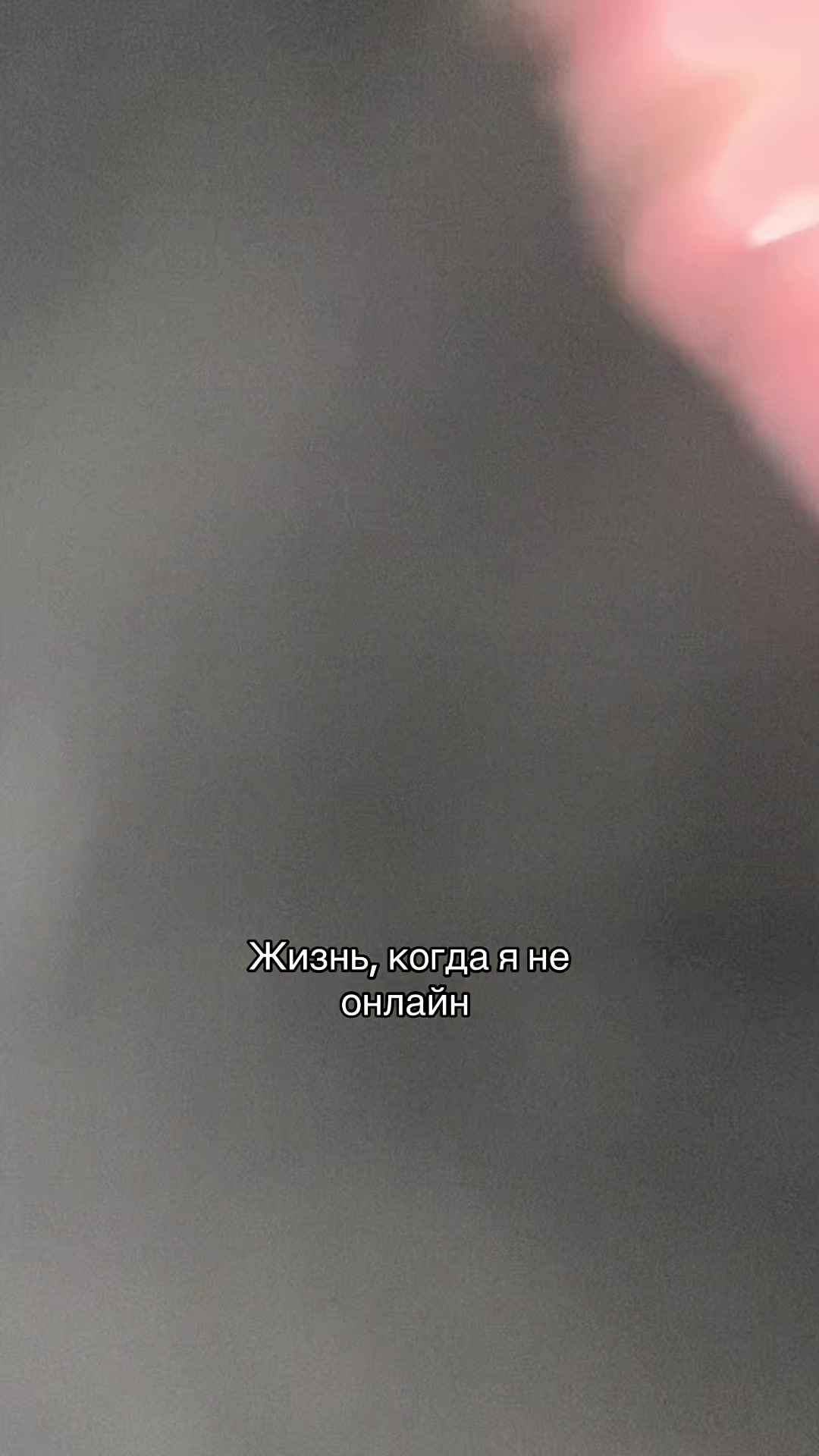 @Дарья Качимова🐍