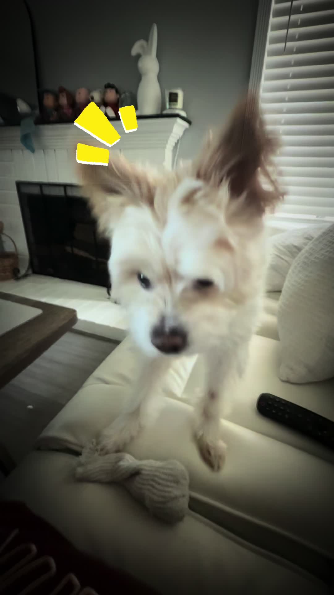 @Twinkies TikTok life