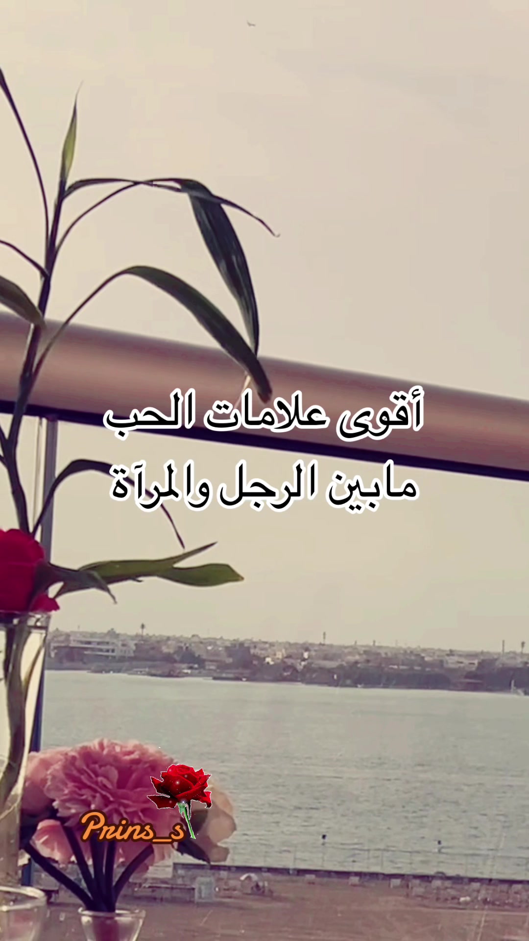 @prins_s2