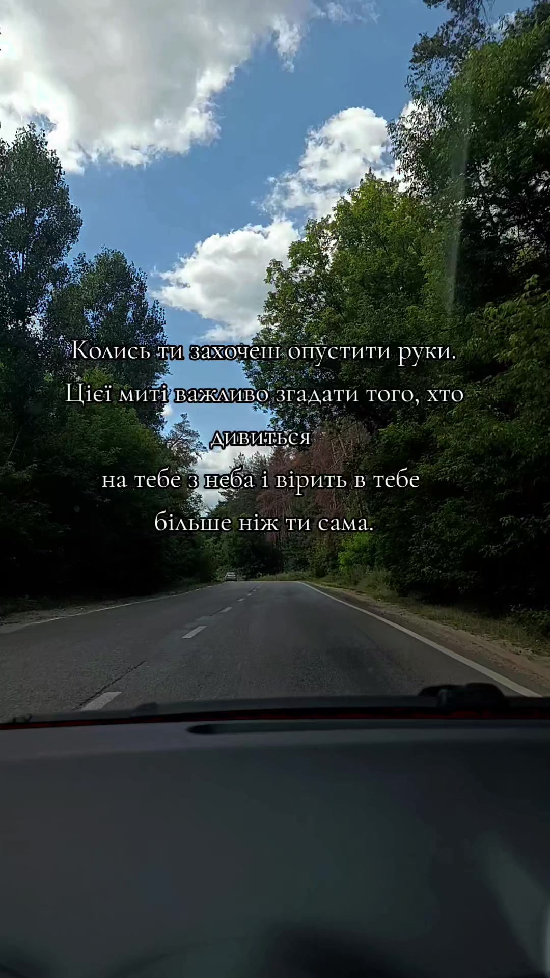 @Чайка 🖤