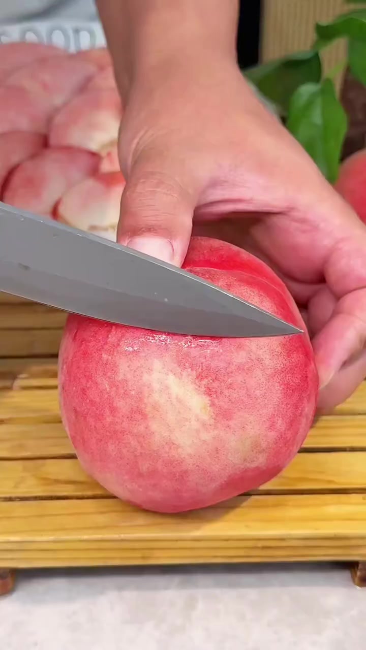 @TasteTrip