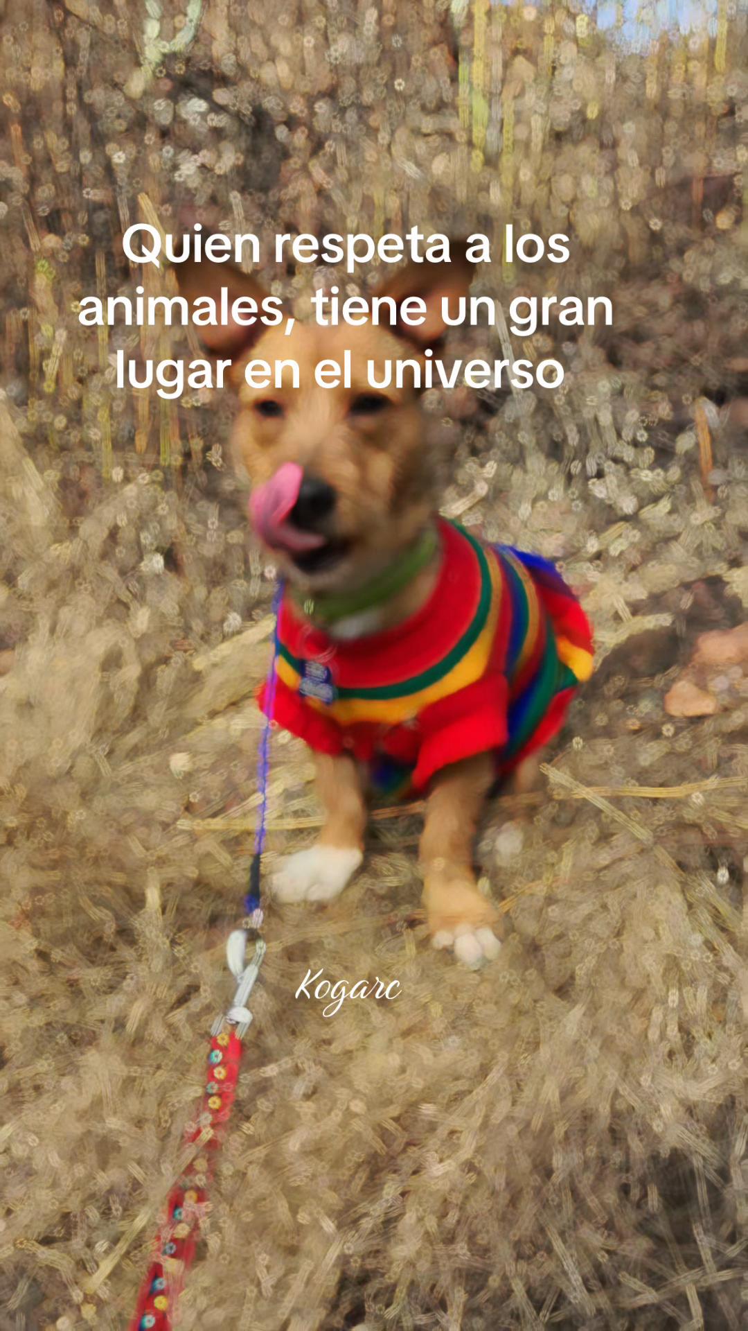 @Kogarc