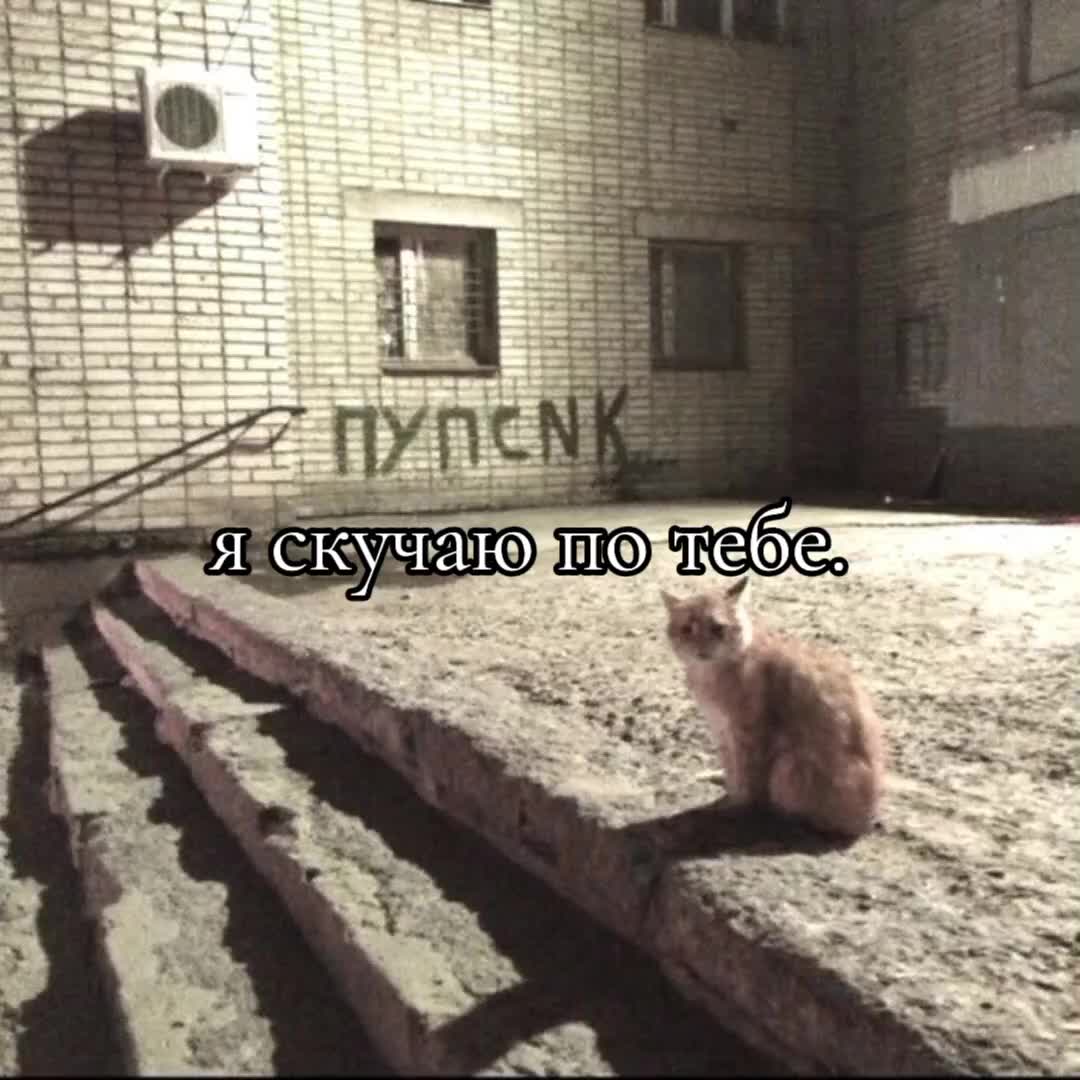 @малинка)