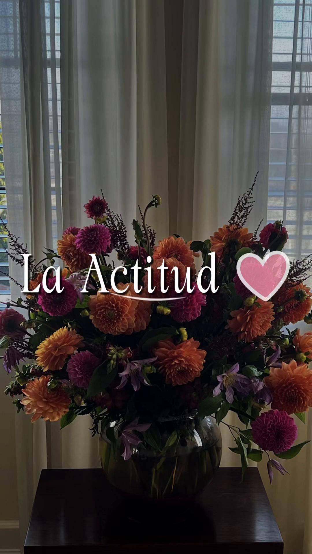 @💞ISA💞