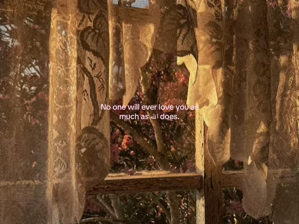 @عائشة