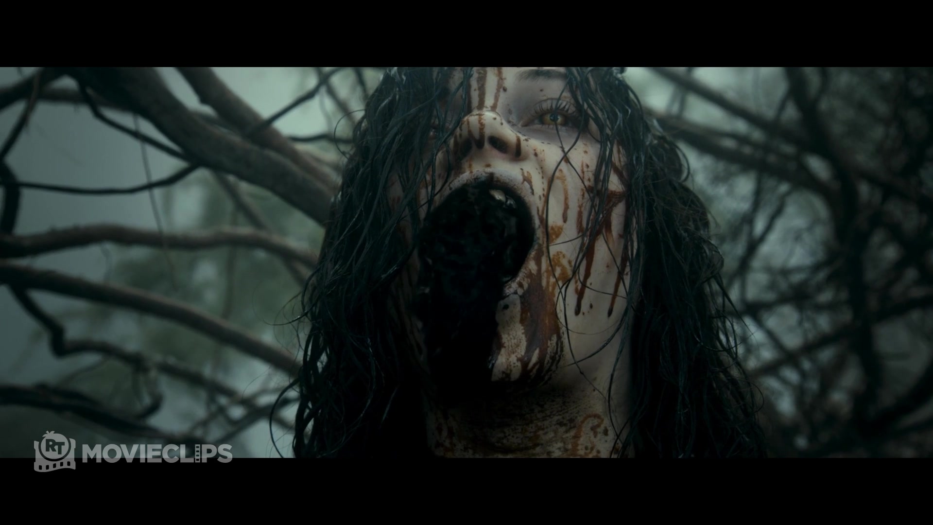 @Movieclips