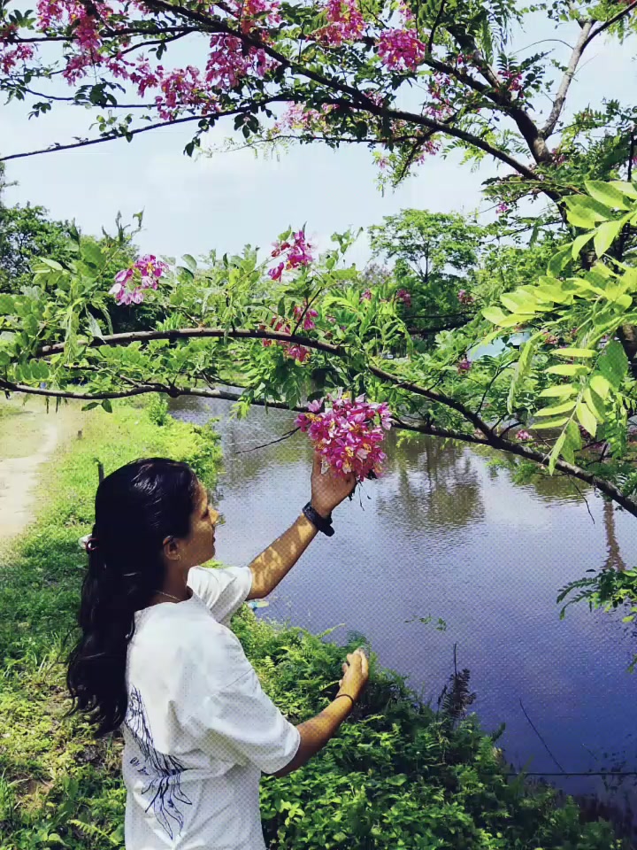 @Saraswati