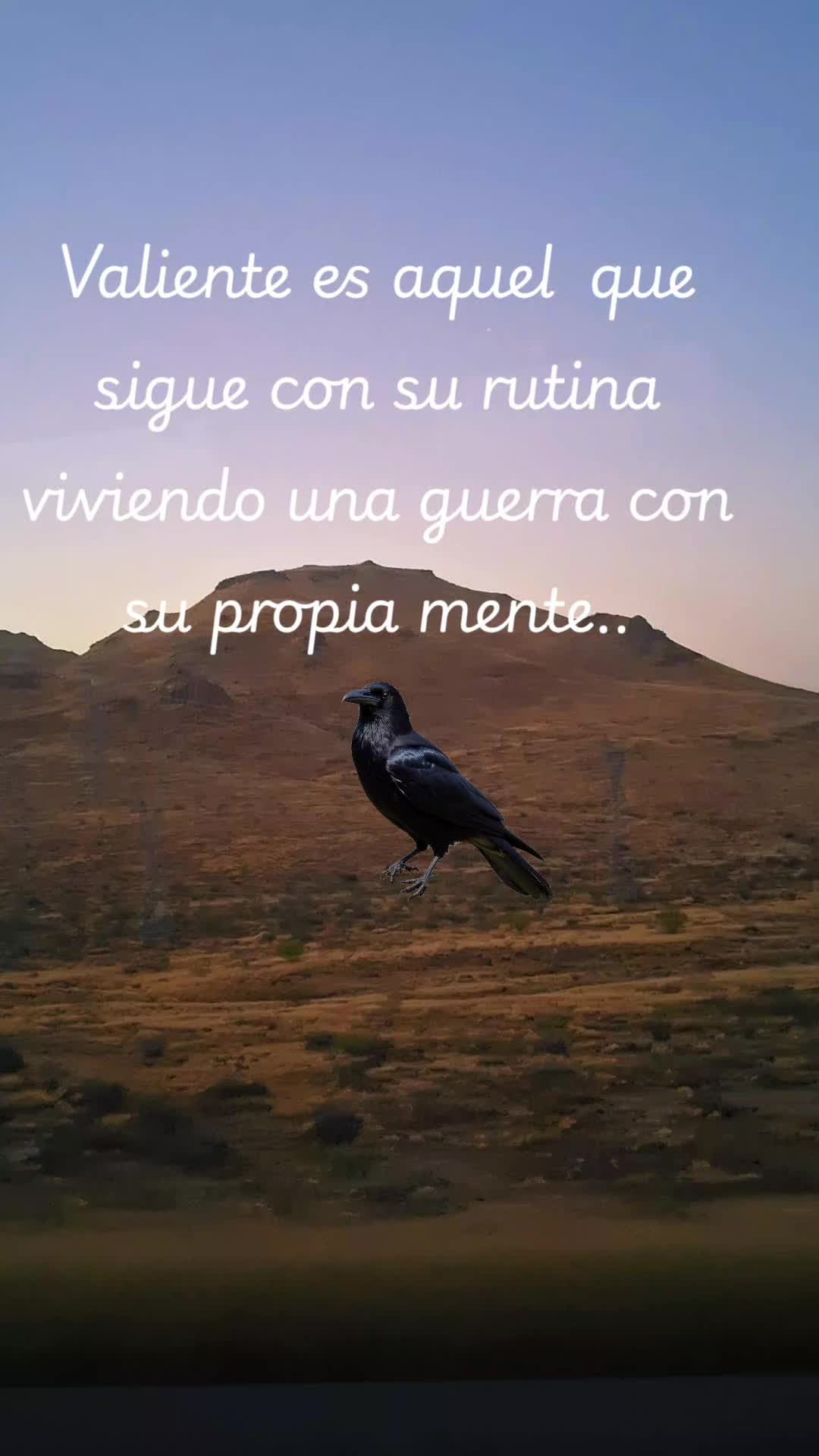 @Noel Lopez