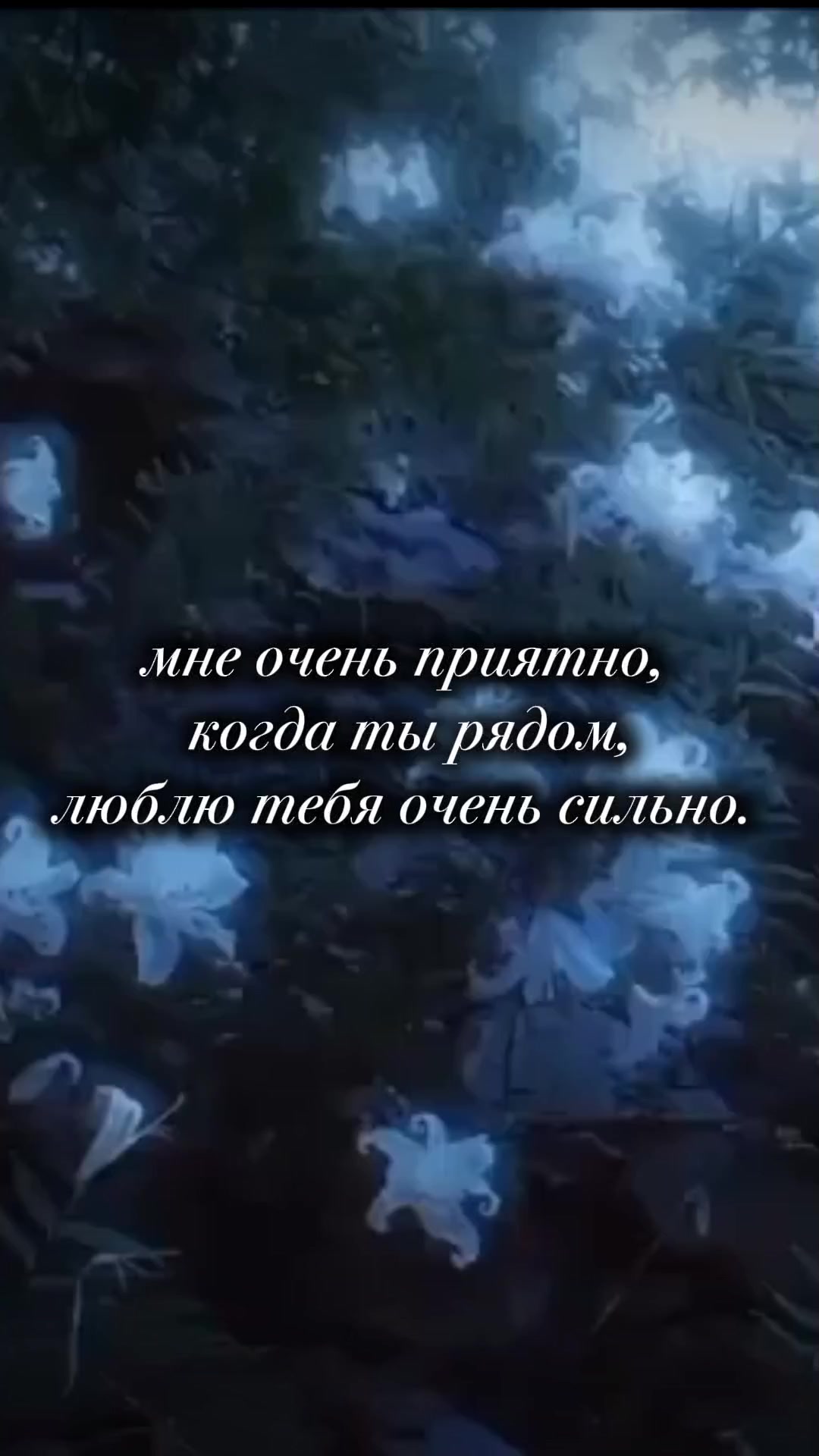 @🎀
