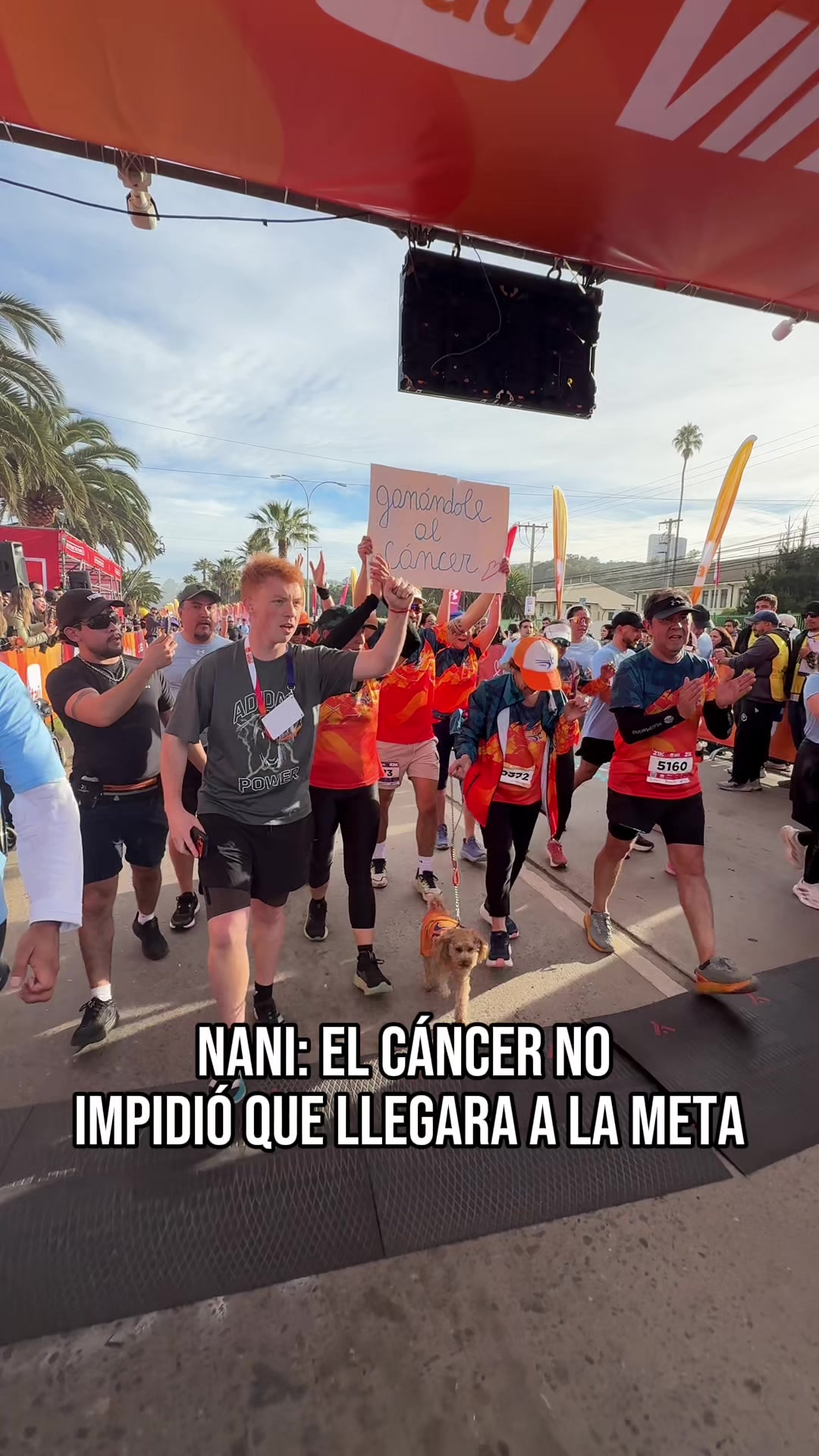 @dltsports