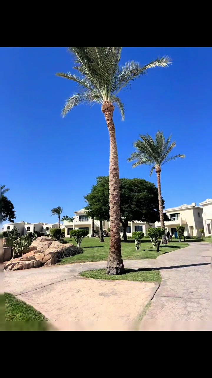 @Ummu_Mukhammad