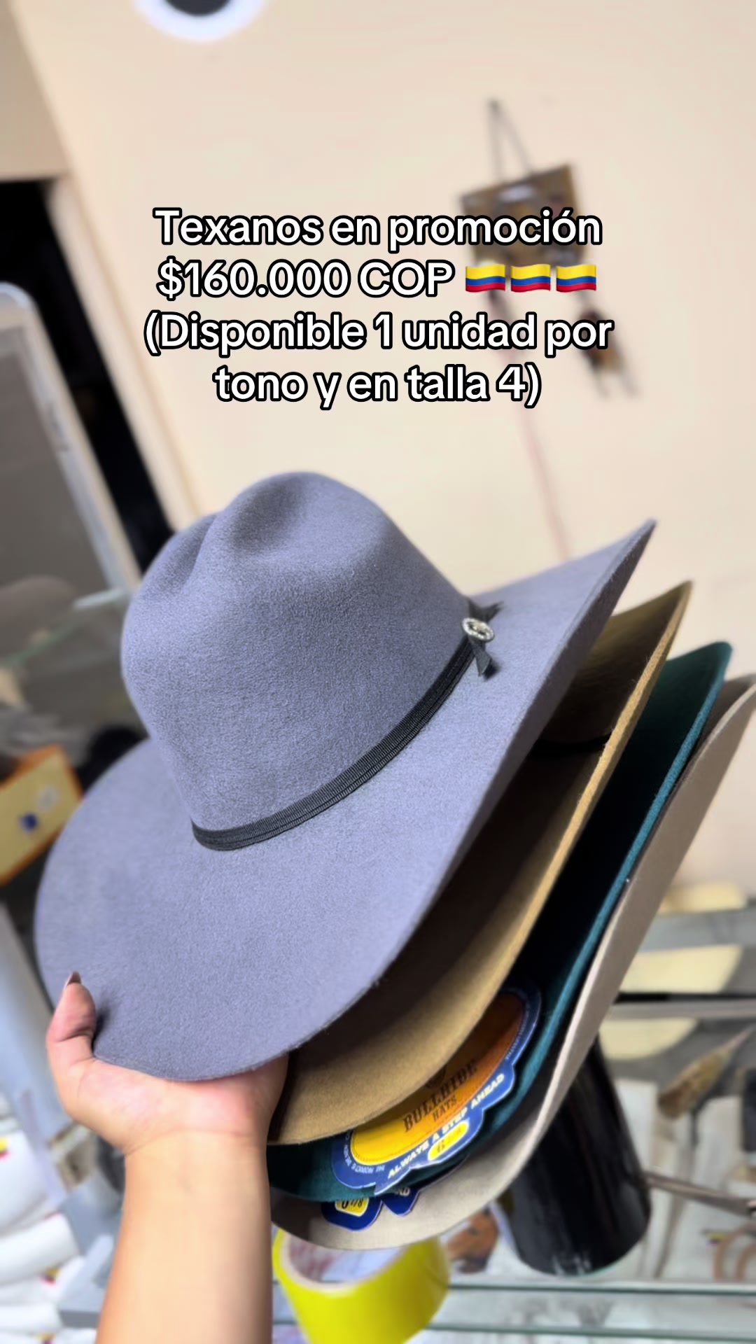 @universal_de_equinos