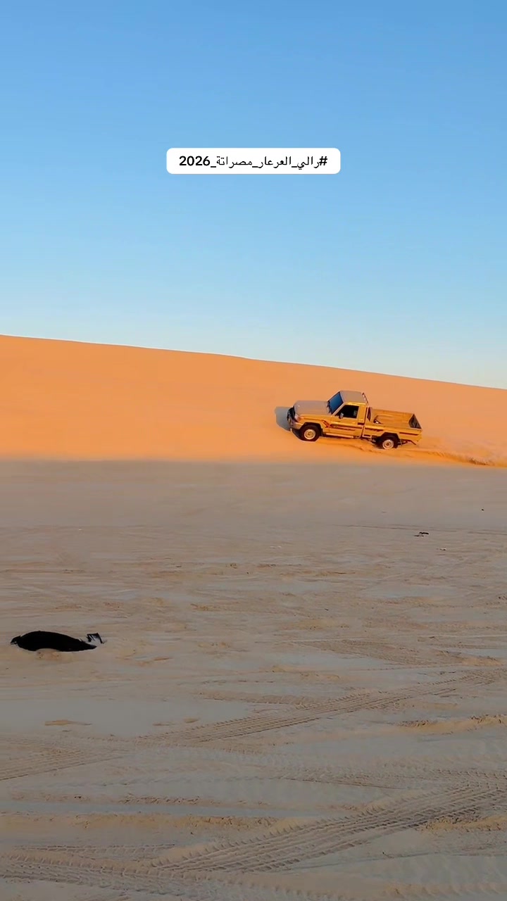 @محمد الفقيه⚜️