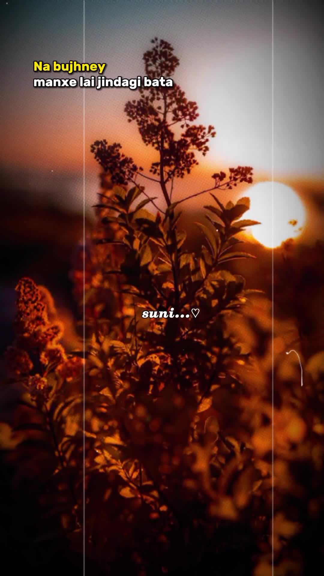 @SU NI TA 🫶🩷