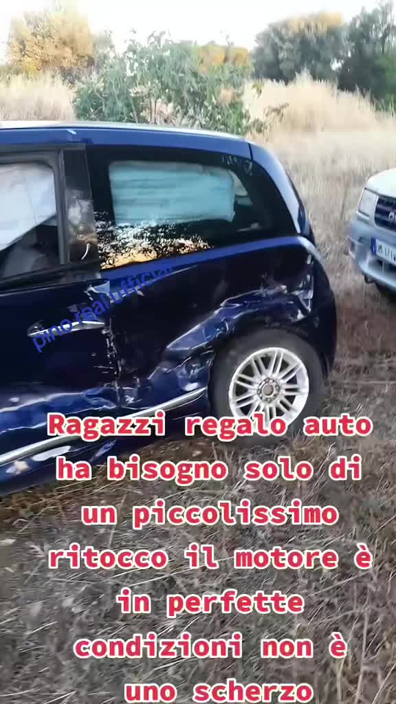 @pino real ufficial