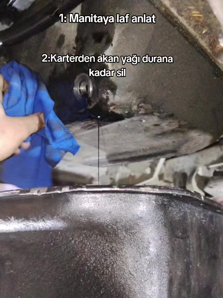 @scdjndnsk