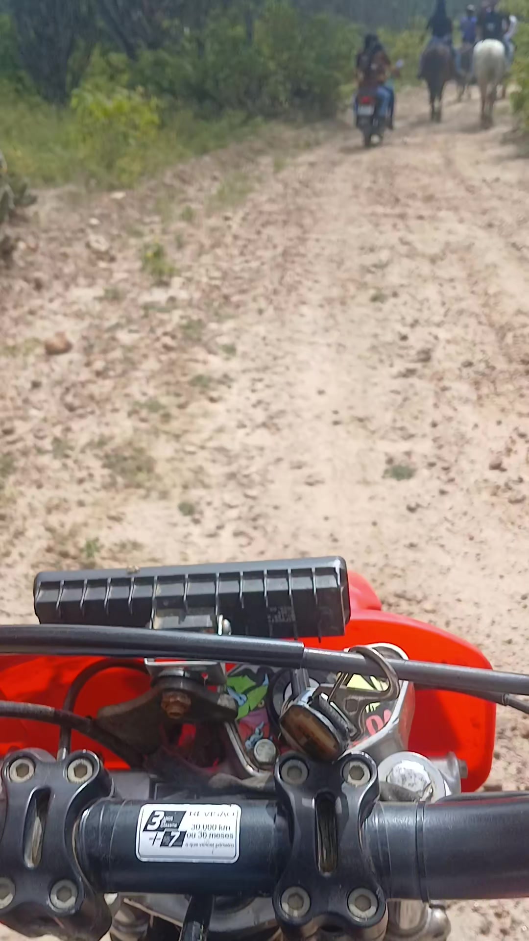 @babau motos
