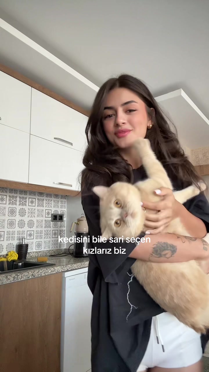 @zeynepsudekis