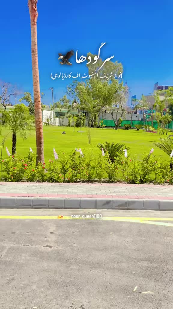 @≛⃝ MENA𝄟≛⃝