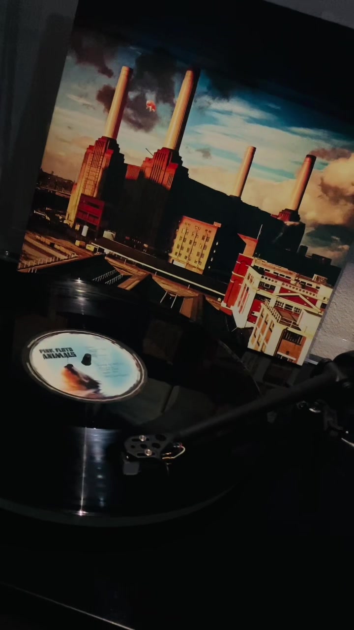 @Shane