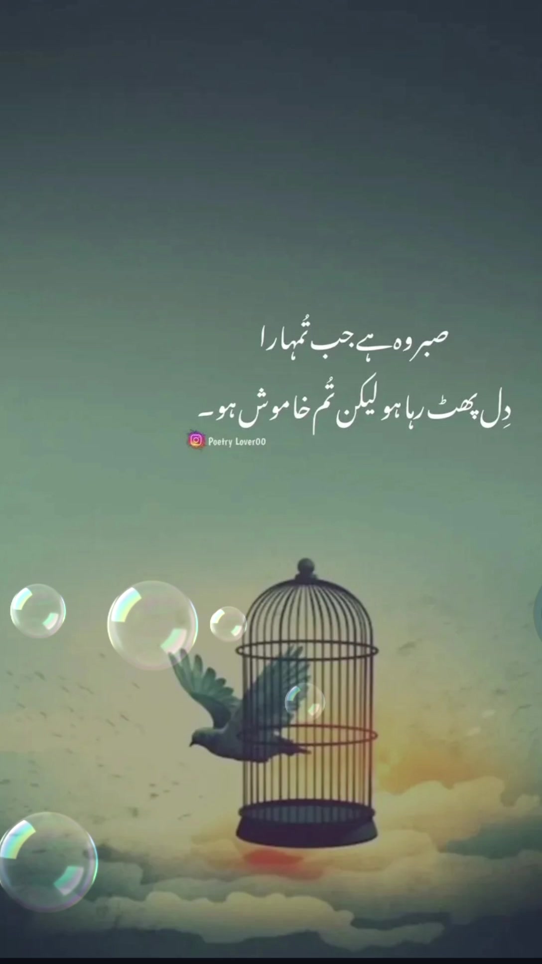 @kanwal