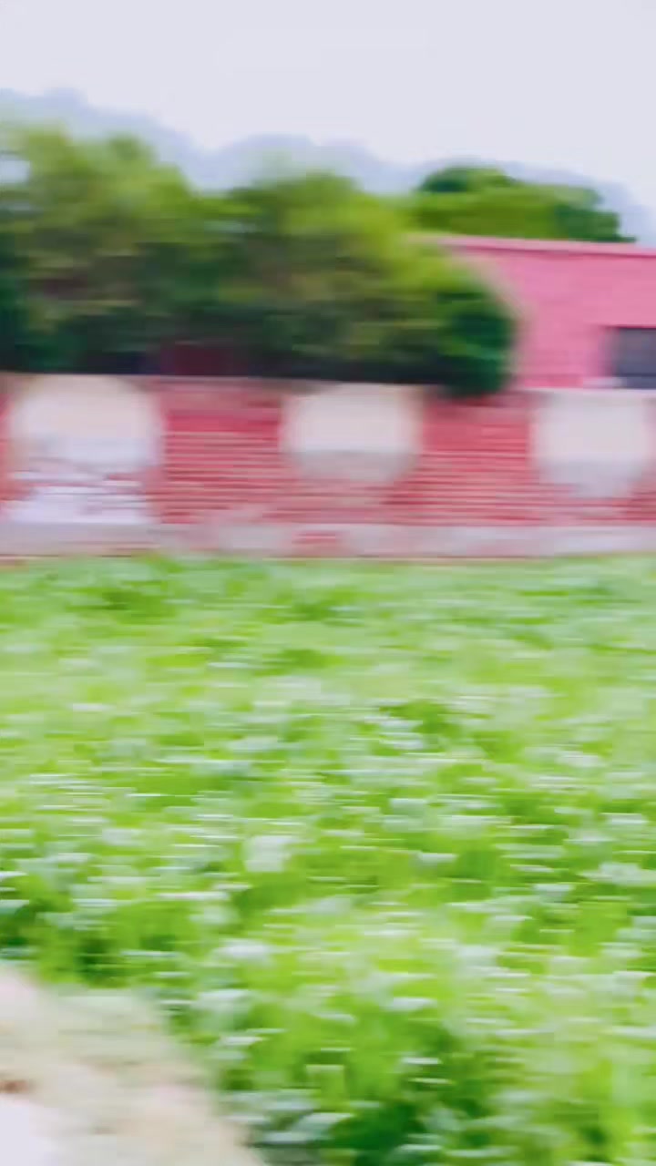 @M W̶a̶s̶e̶e̶m̶ ̶H̶a̶r̶a̶j̶