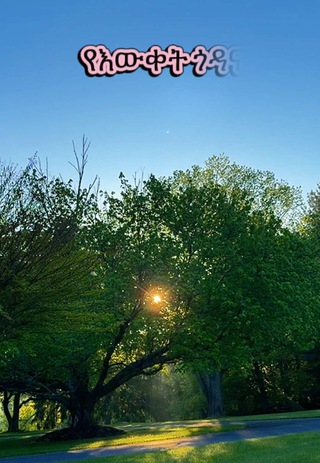 @የኤምራኬል እናት/ betemma 🧑🧒