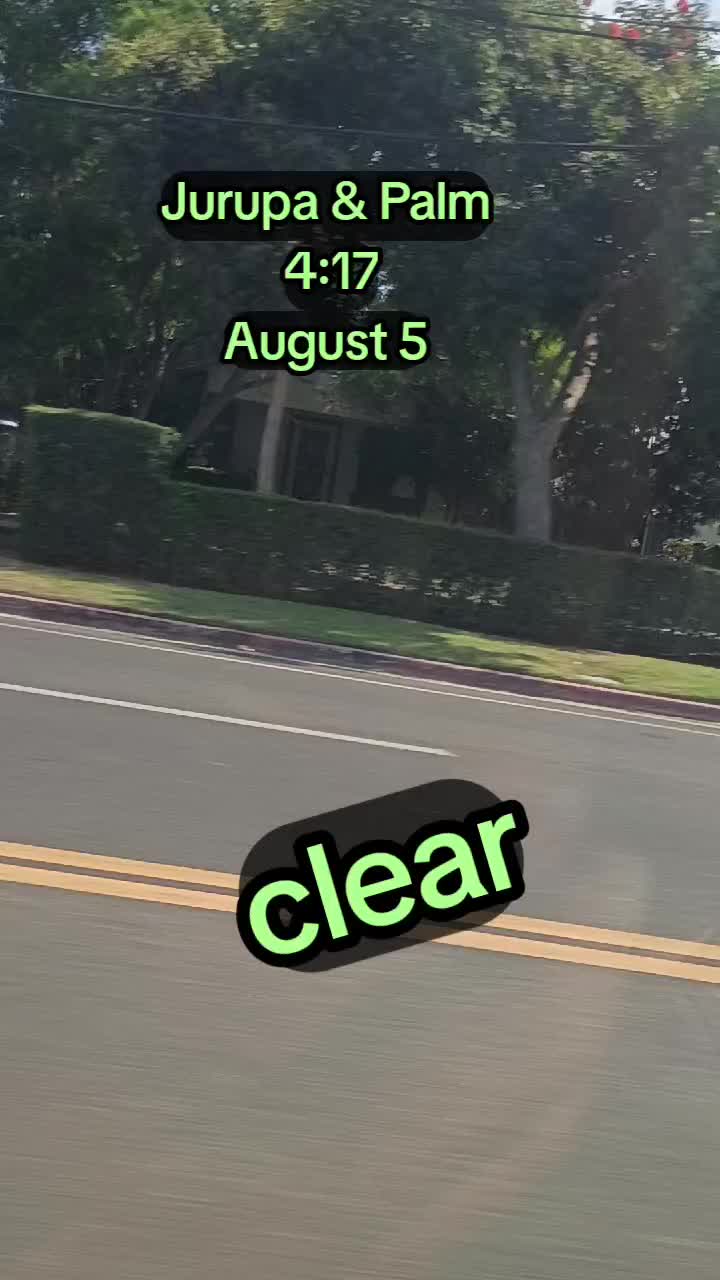 @chapis2479