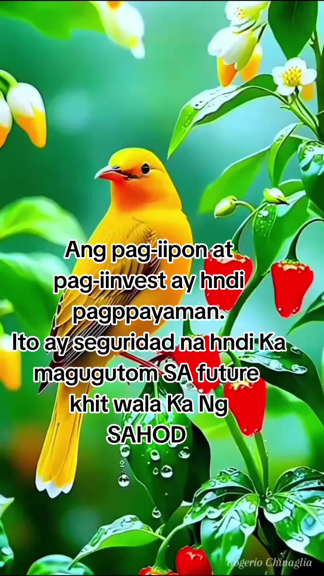 @Belle Santiago