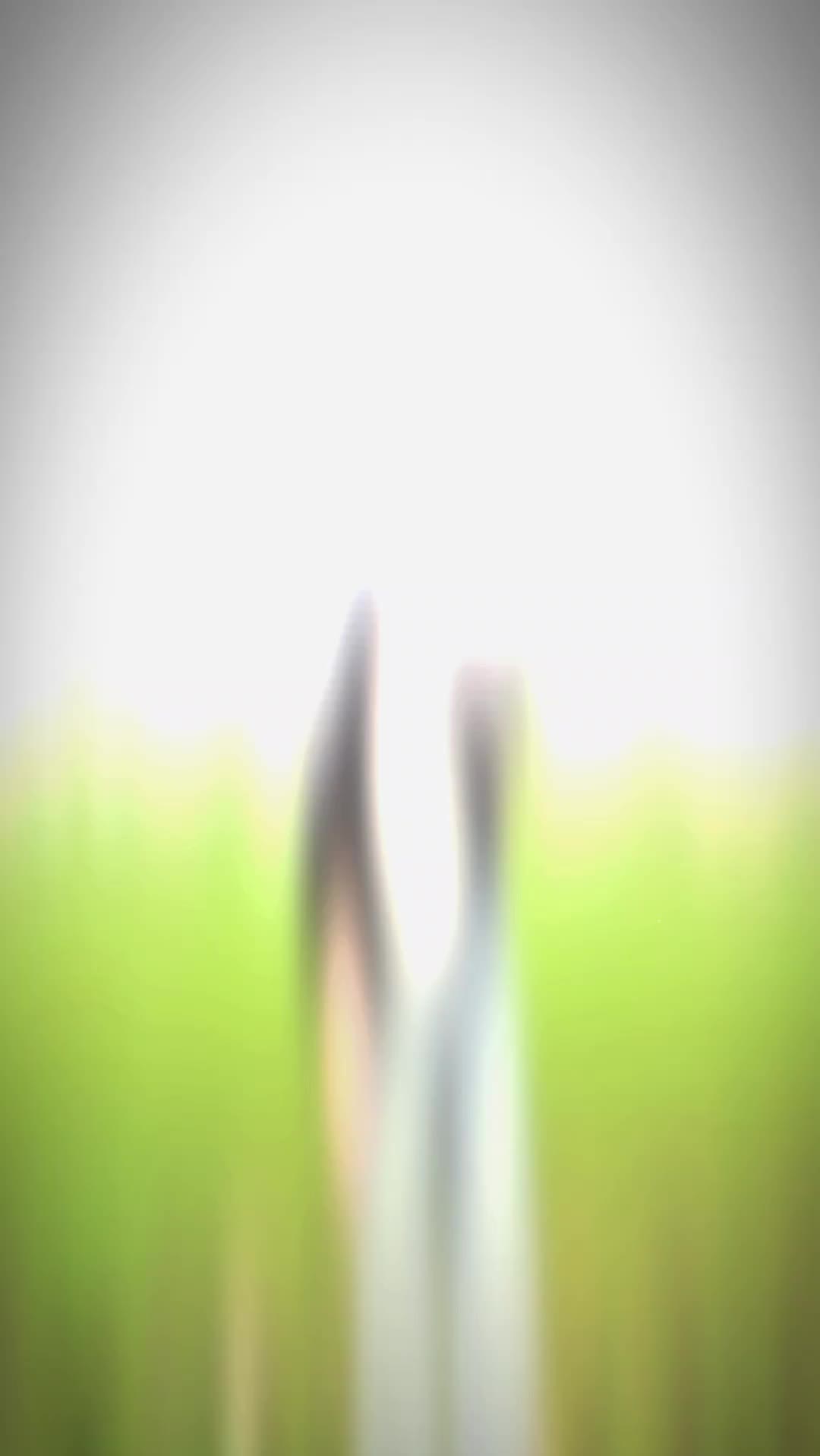 @萍萍💫❤️&zwj;🔥
