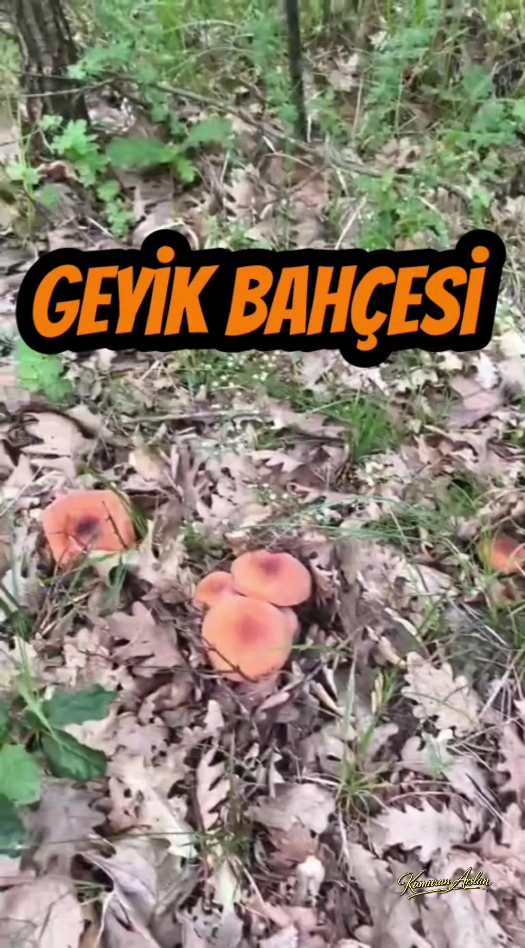 @Kamuran Arslan