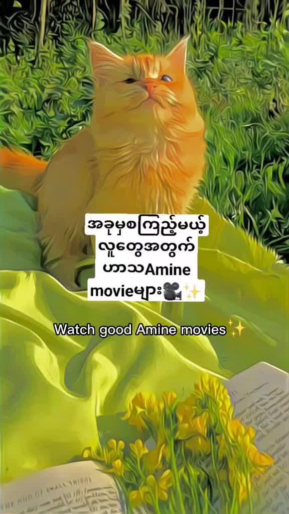 @Twilight