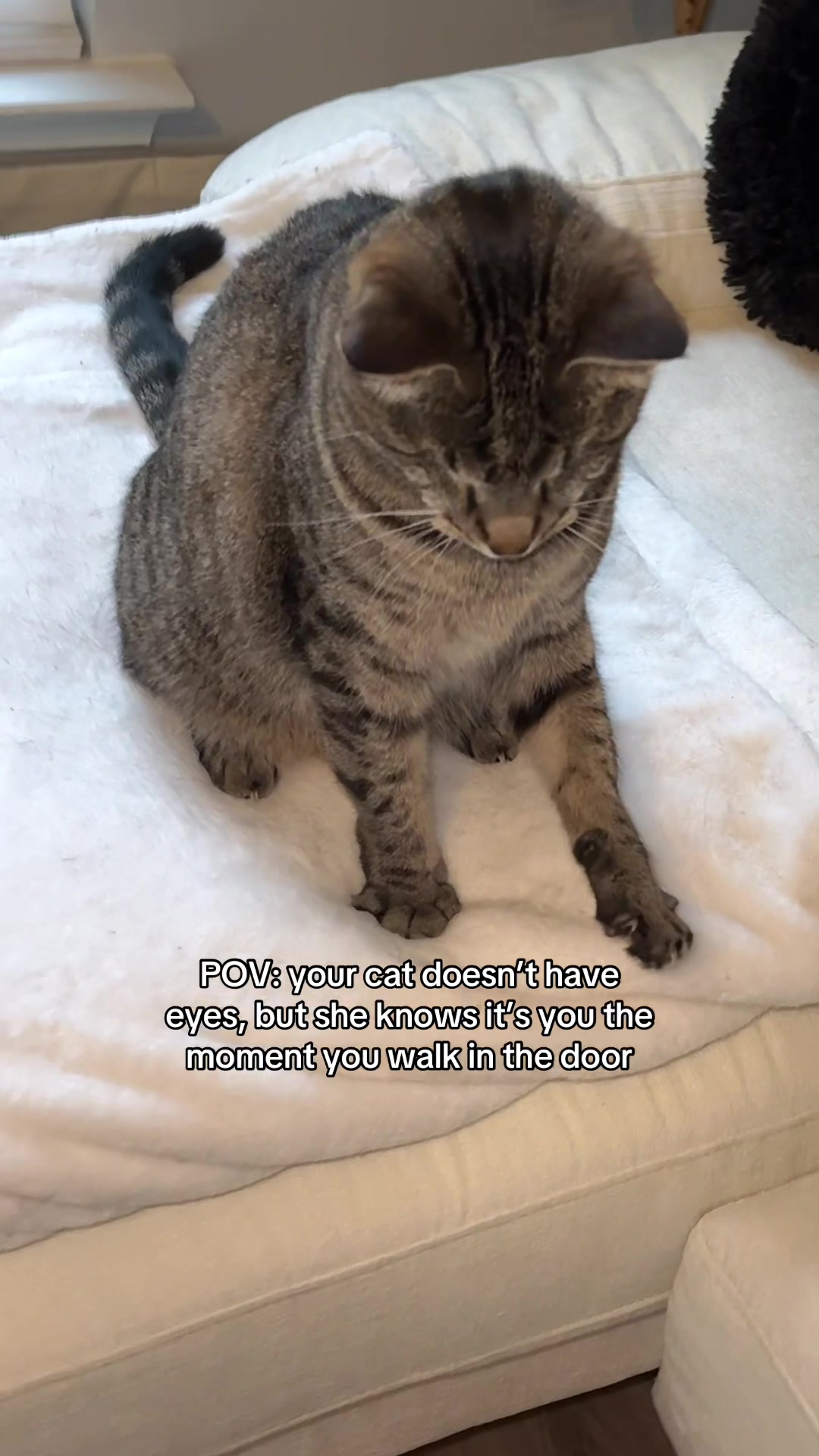 @𝘼𝙢𝙗𝙚𝙧 & 𝙎𝙩𝙚𝙫𝙞𝙚