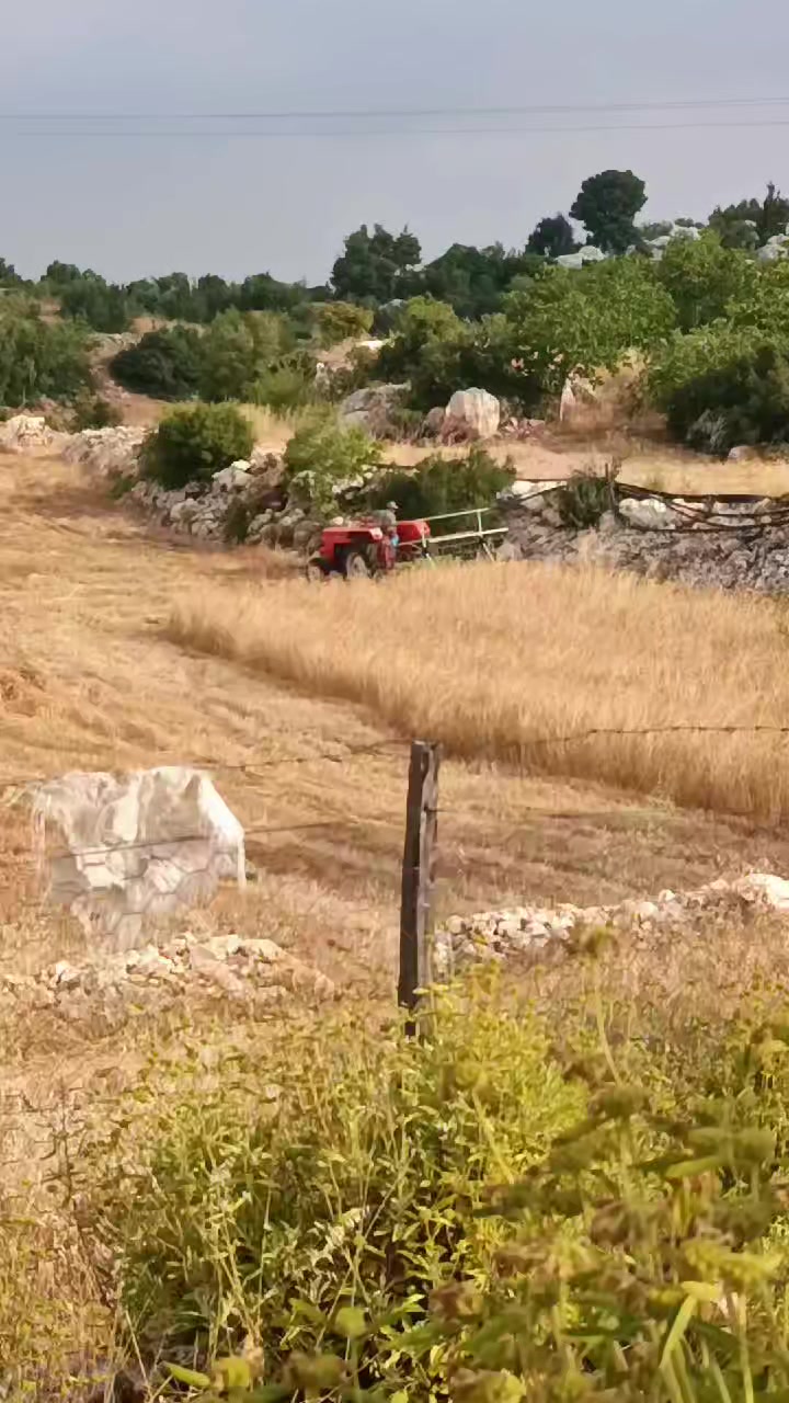 @Songül Demir