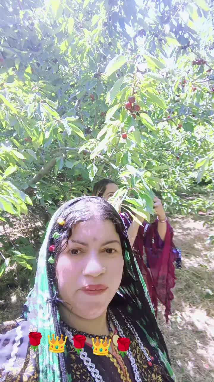 @Aliye