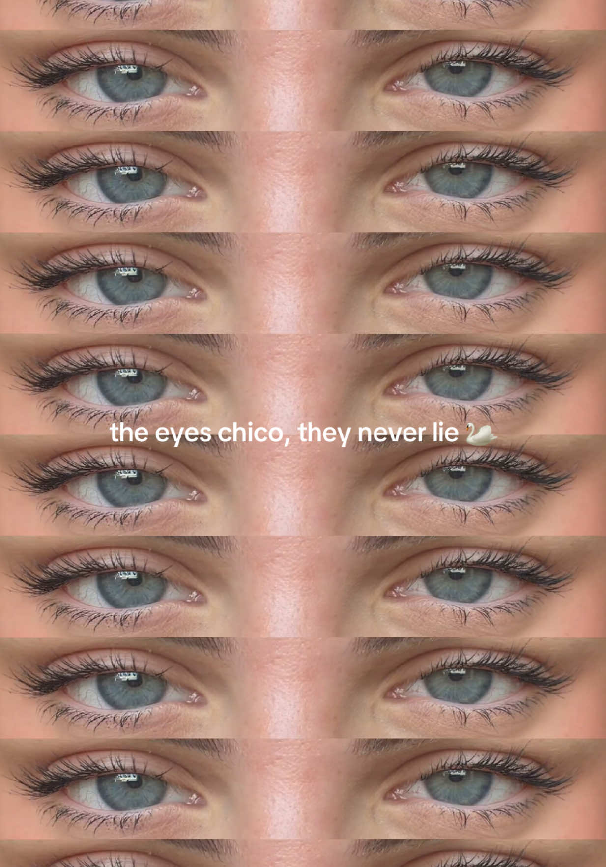 @Marija Novic